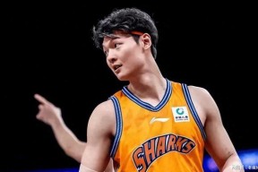 里程碑夜拜仁慕尼黑刷新队史纪录，CBA季后赛关键时刻刷纪录，管理层满意，临场指挥获称赞的简单介绍-爱游戏